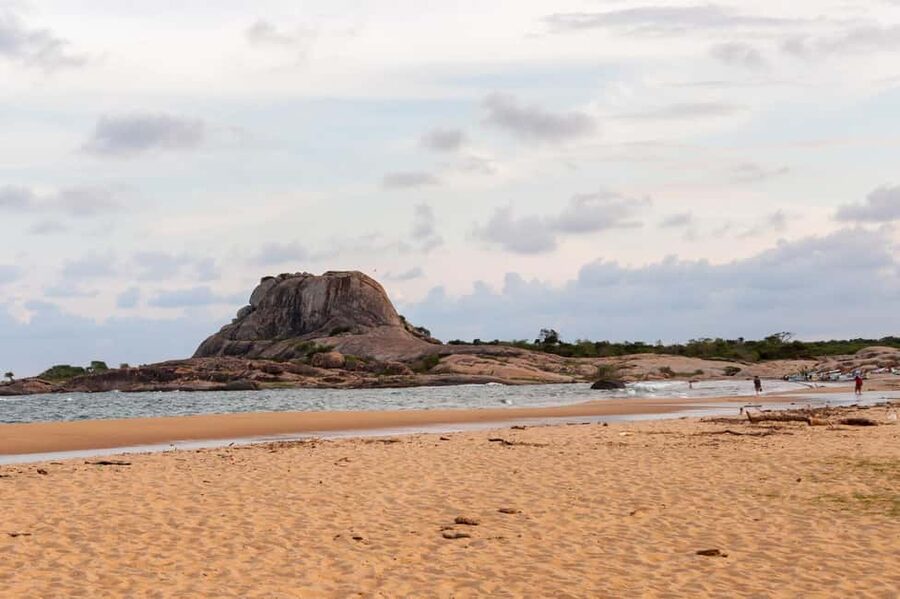 Ella: Transfer to Tangalle/Mirissa/Galle & Yala Safari Tour - Price and logistics: $20 looks cheap until you add the park fees