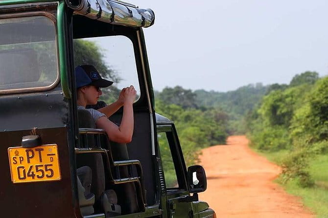 Ella: Transfer to Tangalle/Mirissa/Galle & Yala/Udawalawe Safari - Ella to Yala or Udawalawe: how this “transfer + safari” works