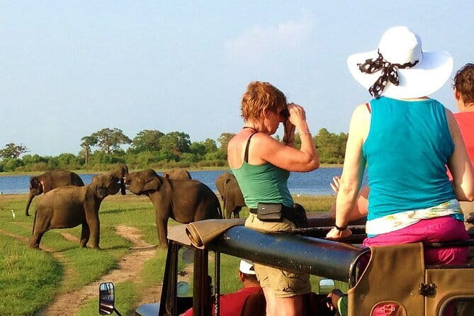 Ella: Transfer to Tangalle/Mirissa/Galle & Yala/Udawalawe Safari - Udawalawe National Park: reservoir country made for elephant viewing