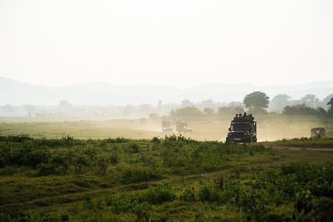 Ella: Transfer to Tangalle/Mirissa/Galle & Yala/Udawalawe Safari - Timing for leopard and elephant chances (morning vs afternoon)