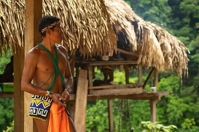 Embera Village Cooking Class with Gatun Lake Boat Safari - The cooking-class lunch: fruit, plantains, fried fish, and a 5-course meal