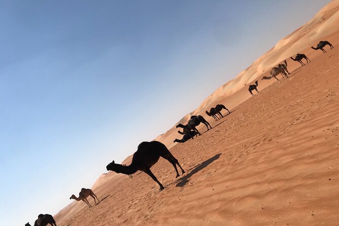 Empty Quarter Sunset Desert Safari - Your day starts at 10:30AM: timing and how to plan for it