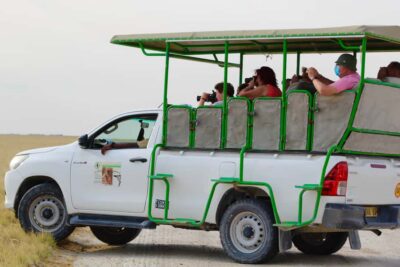 Etosha National Park: Full or Half-Day Game Drive - The open 4x4 game drive: close views, real sounds, and real cold air