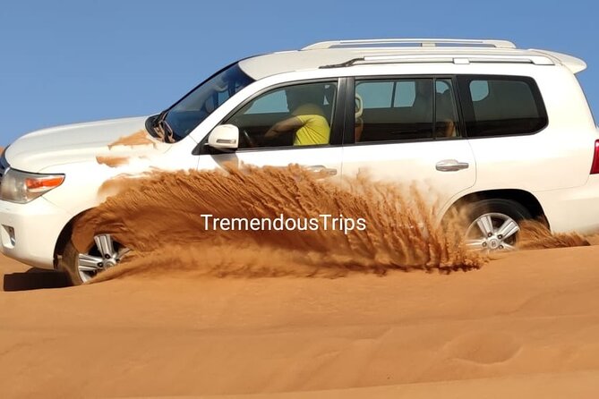 Evening desert safari - Desert Camp Time: Sand Skiing, Camel Ride, Henna, and Shisha