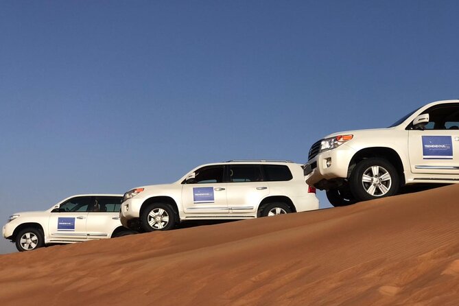 Evening desert safari - Who This Evening Desert Safari Is Best For