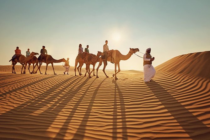 Evening Desert Safari Abu Dhabi - Sandboarding, Dune Skiing, and the Real Cost of Not Wearing the Right Shoes