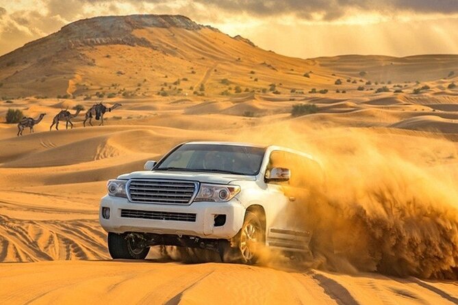 Evening Desert Safari Adventure in Dubai - Guide and Host Matters: Names Linked With Great Service