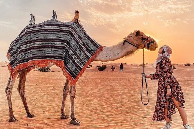 Evening Desert Safari & BBQ With Live Shows,Camel Ride,Falcon pic - The Night Shows: Belly Dance, Tanoura Whirling, Fire Show