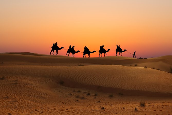 Evening Desert Safari in Dubai, Sandboard & BBQ Dinner - Dinner under the stars: BBQ value and food options that matter