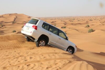 Evening Desert Safari Tour With Dinner & Entertainment - Hotel Pickup and Shared 4x4 Transport: What to Expect