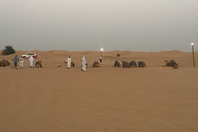 Evening Desert Safari Tour With Live Enterterment And BBQ Dinner - The Desert Safari Core: Dune Driving and Sunset Photos