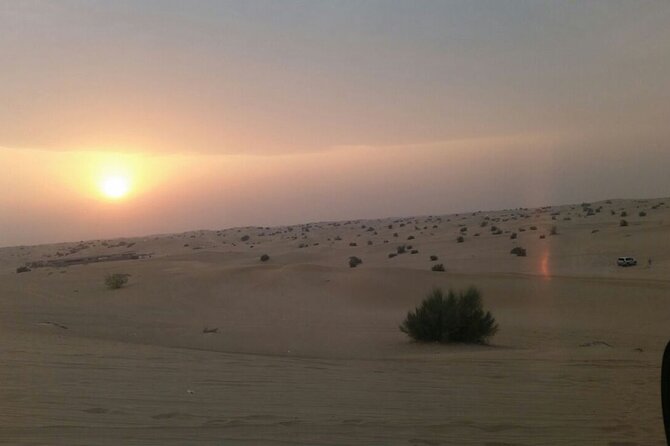Evening Desert Safari Tour With Live Enterterment And BBQ Dinner - Stop 1 in Dubai: The Pre-Desert Warm-Up