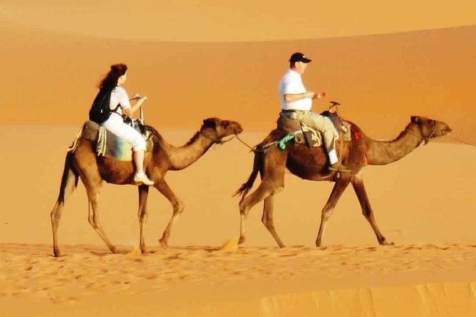 Evening Desert Safari with BBQ Dinner & 7 Live Show's - Desert-to-camp pickup: where the evening starts