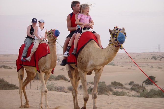 Evening Desert Safari with BBQ Dinner & self-drive Quad biking - Camel Ride and the Sunset Photo Stop: Slower Beats Between Thrills
