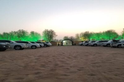 Evening Desert Safari with, Dune Bashing, Camel Ride, sand board - Pickup in Dubai at 2:30 pm: How the Day Gets Moving