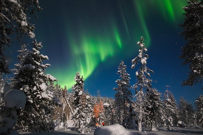 Evening Escape - Snowmobile safari and campfire in Rovaniemi - The ride: what night snow feels like under headlights