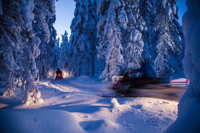 Evening Escape - Snowmobile safari and campfire in Rovaniemi - How “family friendly” and first-timer friendly is it?