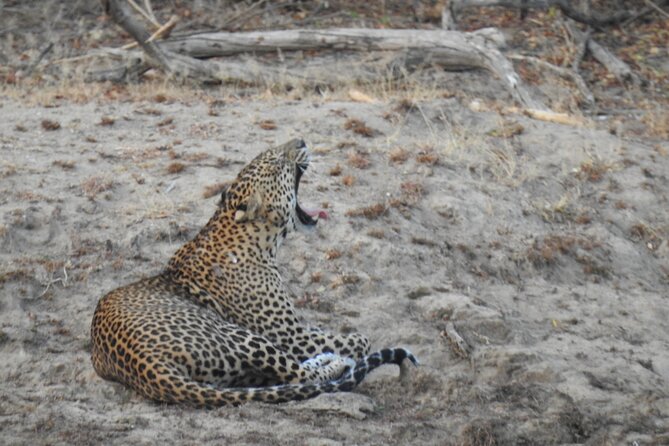 Evening Safari - Yala National Park with Janaka safari - 02.00 pm to 06.30 pm - How good is it for the money? Pricing and what you’re paying for