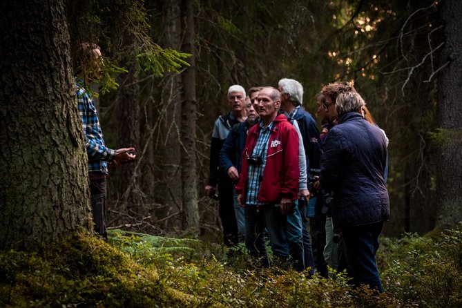 Evening Wildlife Safari Stockholm - Price and value: is $165.65 worth a 5-hour Stockholm evening?