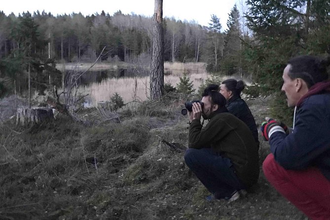 Evening Wildlife Safari with Campfire Dinner from Stockholm - Who this tour is best for (and who should think twice)