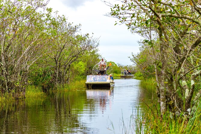 Everglades Airboat Safari Adventure with Transportation - Wildlife expectations: alligators, turtles, deer, and the no-guarantee reality
