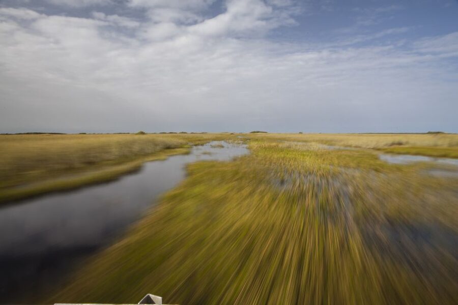 Everglades Day Safari from Fort Lauderdale - Who should book (and who should skip)