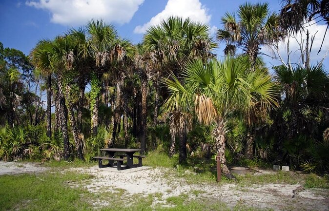 Everglades Day Safari from Fort Myers/Naples Area - Key things that make this safari work