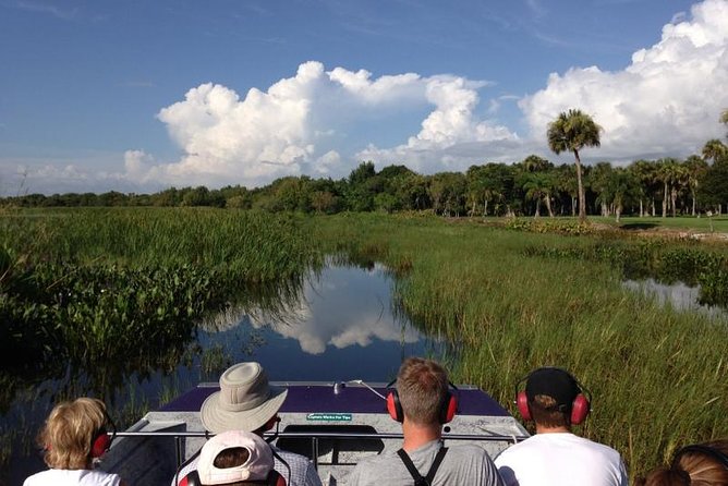 Everglades Day Safari from Fort Myers/Naples Area - Pond Apple Swamps on an Airboat: Alligators up close