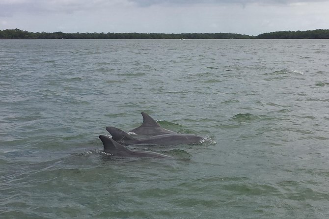 Everglades Day Safari from Fort Myers/Naples Area - Smallwood Store Museum and the Ten Thousand Islands cruise
