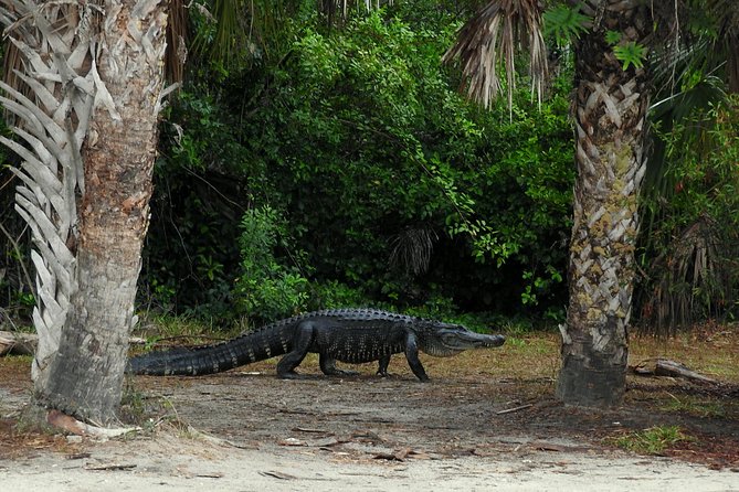 Everglades Day Safari from Ft Lauderdale - Smallwood Store on stilts: a trading post from 1906