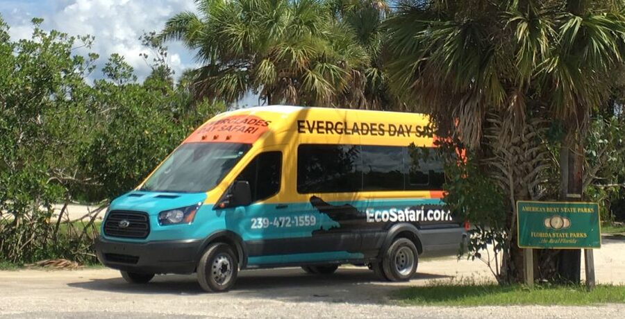 Everglades Day Safari from Sanibel, Fort Myers & Naples - Everglades National Park Boat Cruise: Mangroves, Dolphins, and More