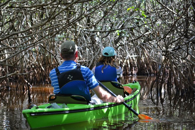 Everglades Kayak Safari Adventure Through Mangrove Tunnels - Stop 1: Everglades National Park and the Ecosystem View You Can’t Get From a Road