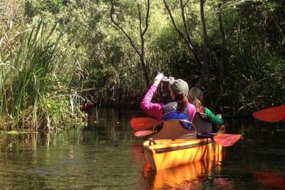 Everglades Kayak Safari Adventure Through Mangrove Tunnels - Meeting at Highway 41 and 29: logistics that save stress