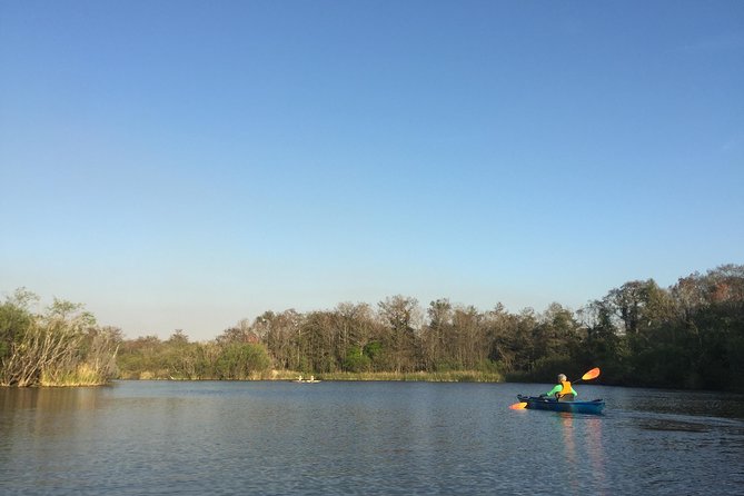 Everglades Kayak Safari Adventure Through Mangrove Tunnels - Naturalist Guides: Look for Names Like Wade, Joe, Patrick, and More