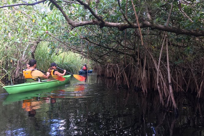 Everglades Kayak Safari Adventure Through Mangrove Tunnels - Gear and Comfort: Stable Kayaks and Dry Storage That Actually Help