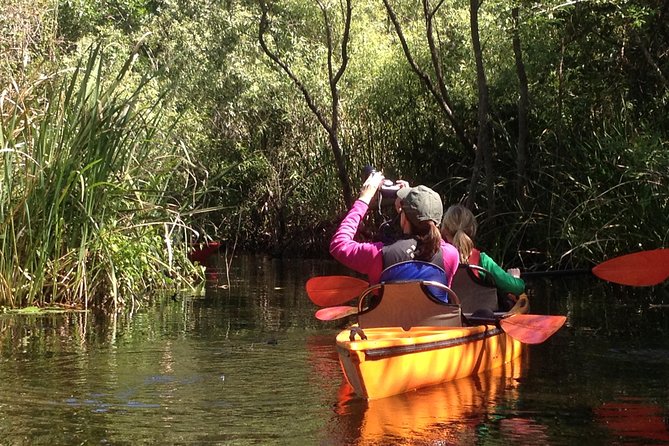 Everglades Kayak Safari Adventure Through Mangrove Tunnels - Where You Start: Everglades City and a Smooth 4-Hour Window