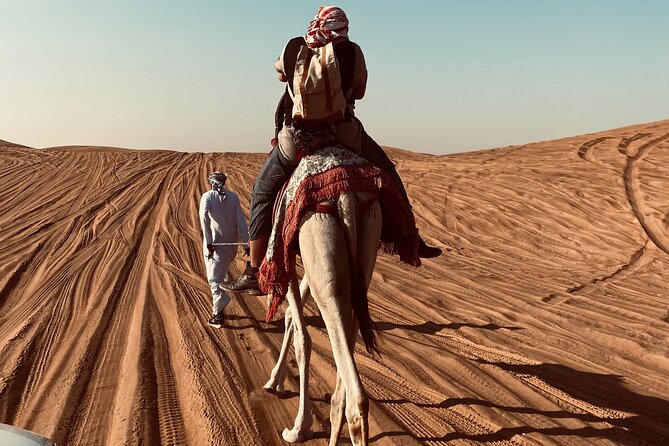 Exclusive Evening Desert Safari - Key Things That Make This Safari Worth It