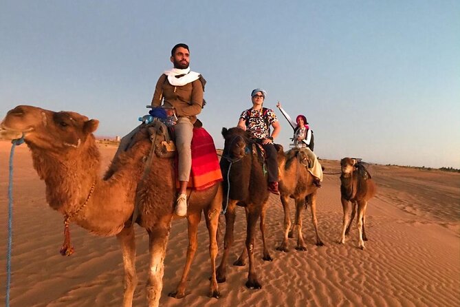 Exclusive Merzouga Desert Safari: Camel Ride, Sandsurf & Dinner - Key highlights to know before you go