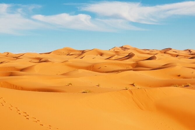 Exclusive Merzouga Desert Safari: Camel Ride, Sandsurf & Dinner - Desert camp night: Berber food, campfire energy, and real stars
