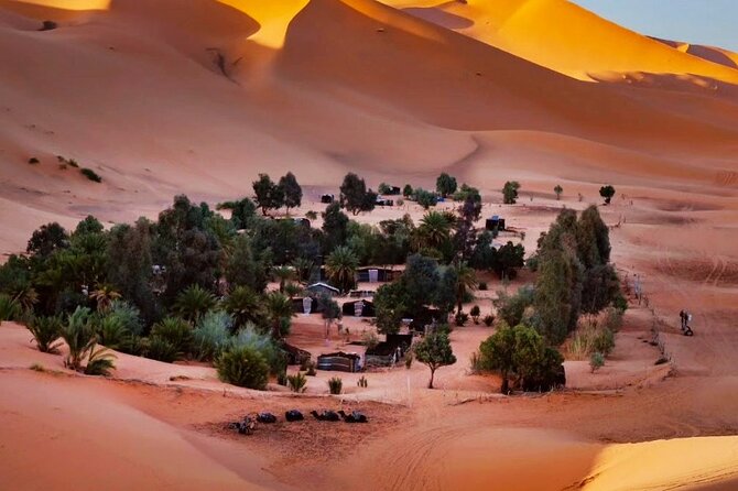 Exclusive Merzouga Desert Safari: Camel Ride, Sandsurf & Dinner - Price and value: is $43.15 actually fair?