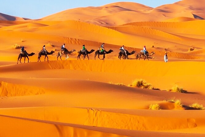 Exclusive Merzouga Desert Safari: Camel Ride, Sandsurf & Dinner - Who this safari suits best (and where it might not)