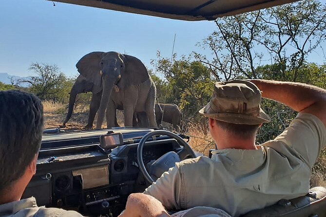 Exclusive Morning Game Drive Safari near Hoedspruit - The 5:30 am start: when the bush is doing its best work