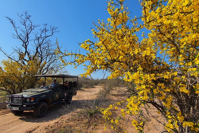 Exclusive Morning Game Drive Safari near Hoedspruit - Price and value: is $112.20 a fair deal?