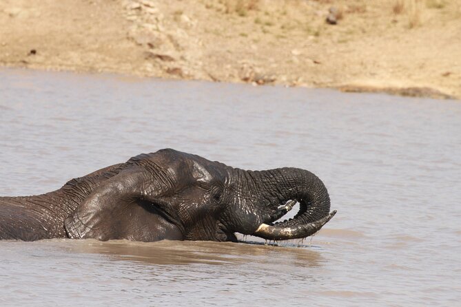 Exclusive Sunset Game Drive Safari near Hoedspruit - The open safari vehicle experience: comfort without losing the view