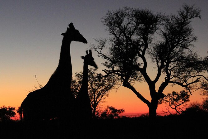 Exclusive Sunset Game Drive Safari near Hoedspruit - The private 5,500-hectare reserve: more space for sightings