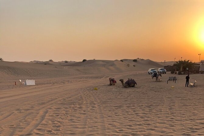 Exhilarating Desert Safari, Including BBQ Dinner from Dubai - Desert Dinner With the Works: BBQ Buffet and Unlimited Drinks