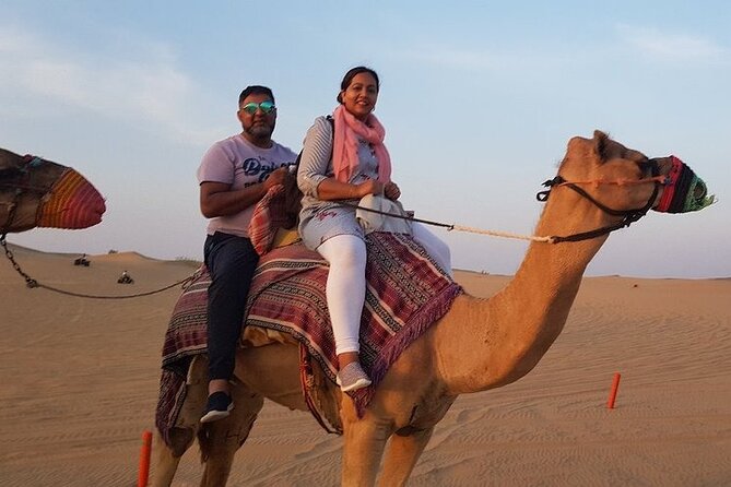 Exhilarating Desert Safari, Including BBQ Dinner from Dubai - Who This Safari Works Best For