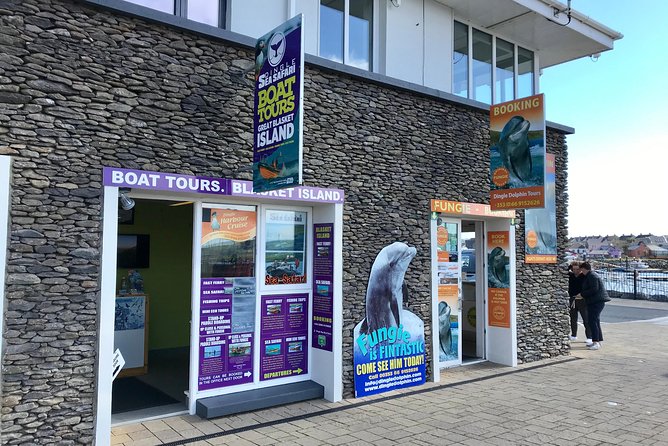 Exhilarating Rib experience - Dingle sea safari - Why a Dingle Peninsula RIB Safari Feels Different From Shore