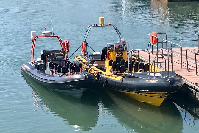 Exhilarating Rib experience - Dingle sea safari - Stop 1: Dingle Sea Safari—Cliffs, Sea Caves, and the Blasket Islands