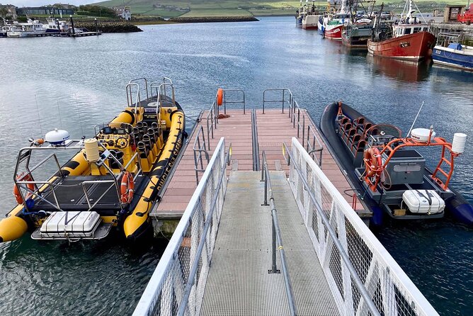 Exhilarating Rib experience - Dingle sea safari - Time on the Clock: Getting Value From 3 Hours Out at Sea